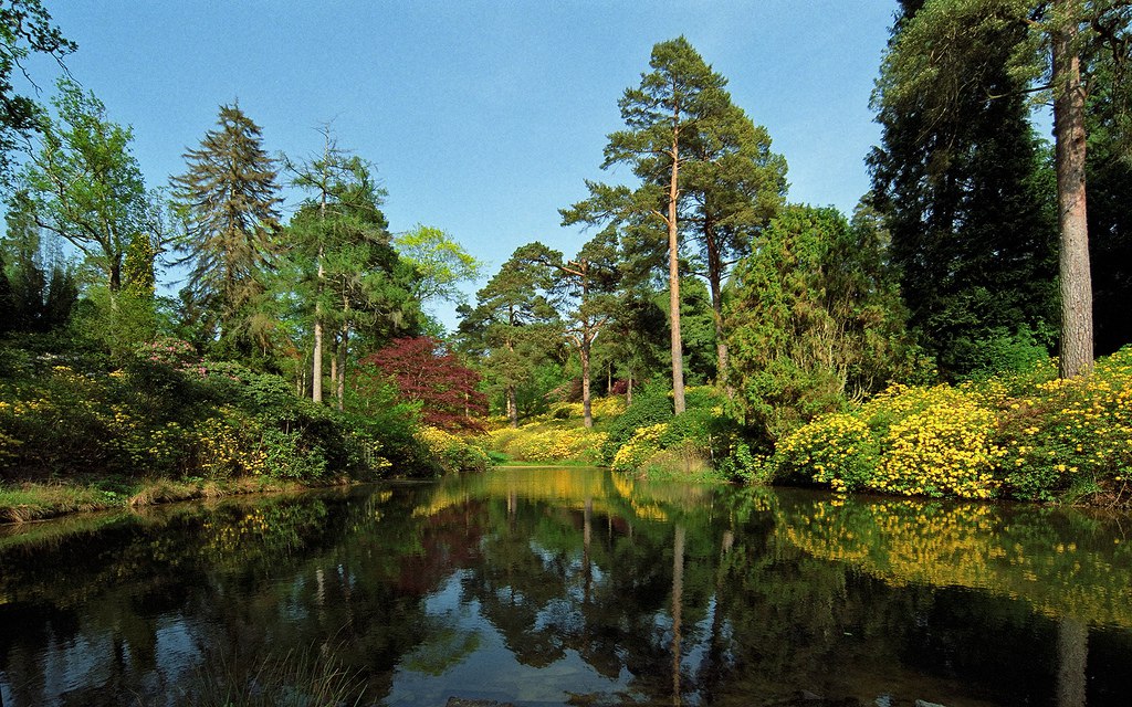 ))). Leonardslee Gardens (  ) , Horsham, West Sussex    ... - 12