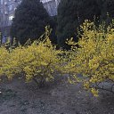 ���� Svetlana, ����������� - ��������� 21 ����� 2017 � ������ ���� ����������