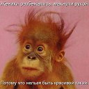  ,  -  3  2016    
