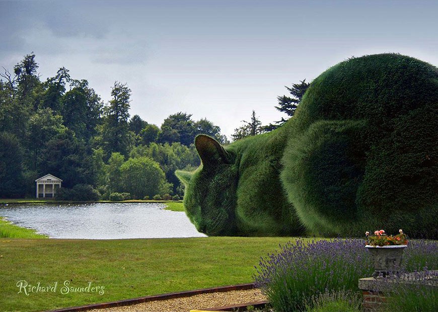 ))).Topiary Cat:     -       ... - 6