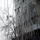 ���� Seleniya, ������, 50 ��� - ��������� 8 ������� 2017 � ������ ������ ��������