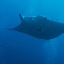 ���� ������, ������ - ��������� 23 ������� 2016 � ������ ���� �����