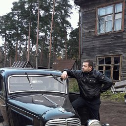 ���� ����, �����-���������, 41 ��� - ��������� 24 ������� 2016