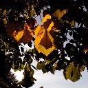 ���� ����, ���������, 67 ��� - ��������� 3 ������ 2016 � ������ ���� ����������