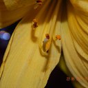 ���� �������, ����, 46 ��� - ��������� 11 ������ 2016