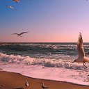 ���� Aleksandr, ������, 62 ���� - ��������� 12 ������ 2017 � ������ �Cover Photos�