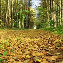 ���� �������, ��������, 47 ��� - ��������� 2 ������� 2016 � ������ ���� ����������