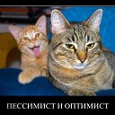 ���� �������, ������ - ��������� 12 ������� 2017 � ������ ������ ��������