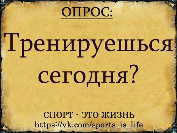 SportFeed - 20  2016  10:50