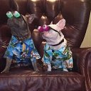 ���� �� �������, ���� - ��������� 8 ����� 2017 � ������ ������