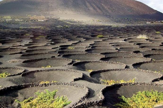    .  (Lanzarote)    ...