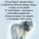 ���� ������, ������, 55 ��� - ��������� 1 ������ 2017 � ������ ���� ����������