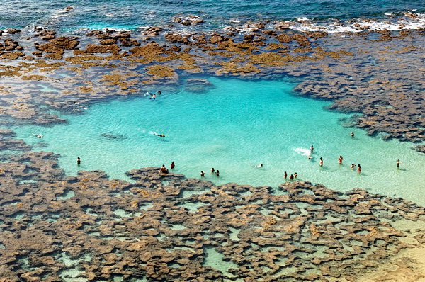   -     .  (Hanauma Bay)   