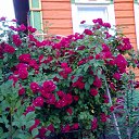 ���� ��������, ������, 66 ��� - ��������� 28 ������ 2016 � ������ ������ ��������