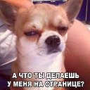 ���� �������, ������������ - ��������� 17 ������� 2016 � ������ ������ ��������