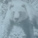 ���� �������, ����������� - ��������� 23 ������� 2017 � ������ ������� ��.�