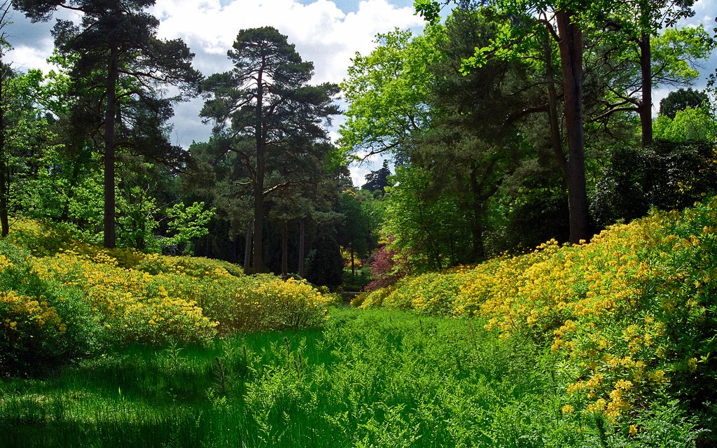 ))). Leonardslee Gardens (  ) , Horsham, West Sussex    ... - 11