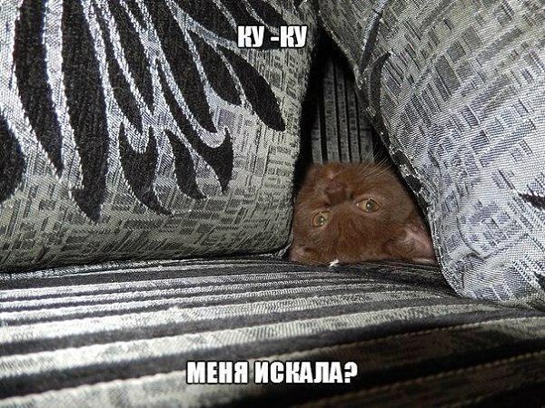 ��� �������� �������� - 19 ������� 2016 � 06:17