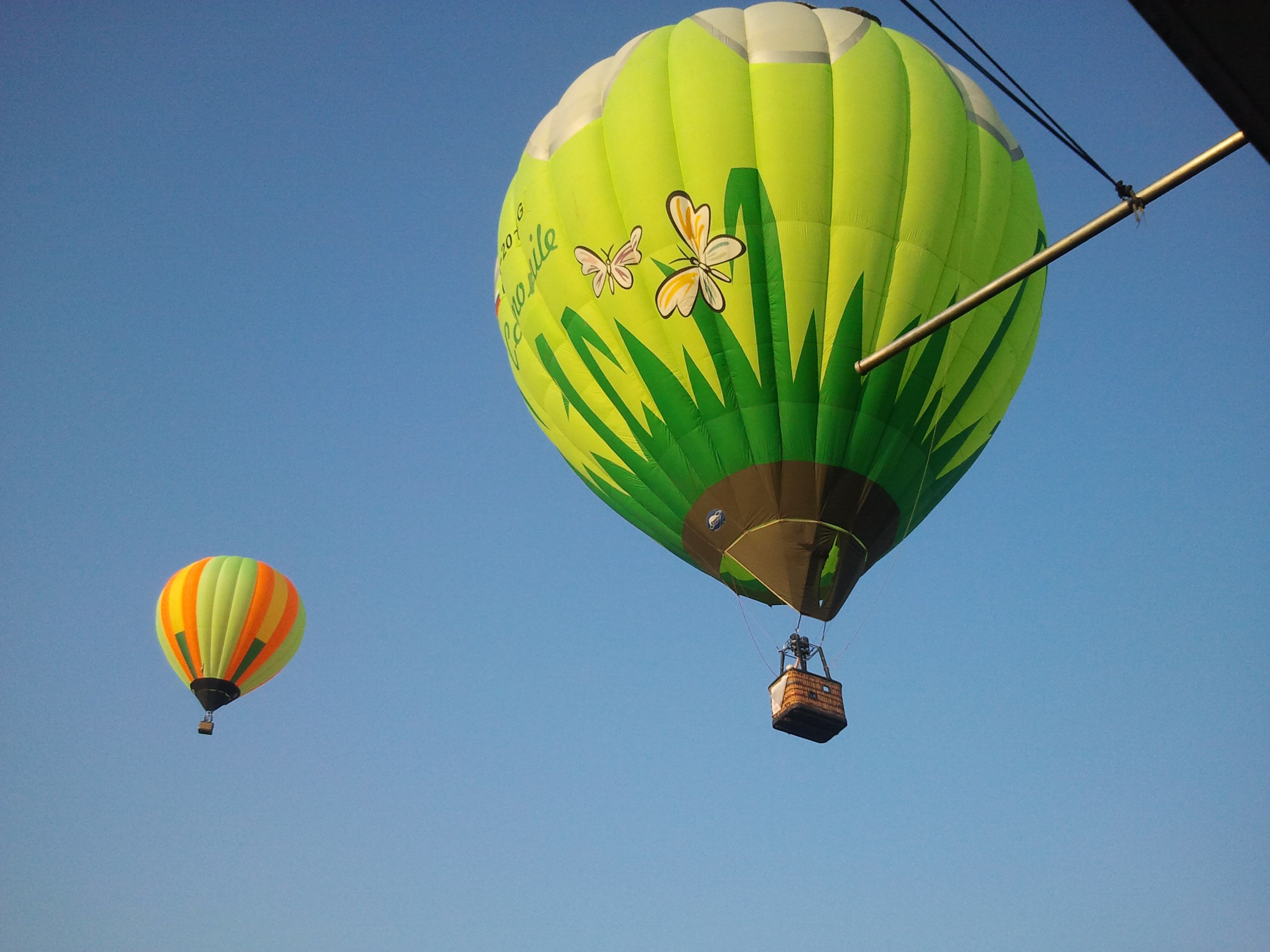 Igorkaas - 23  2016  13:23 - 3