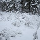 ���� �������, ����������, 49 ��� - ��������� 5 ������� 2016 � ������ ������