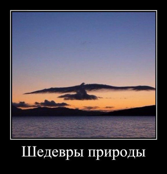 ��� �������� �������� - 11 �������� 2016 � 21:16