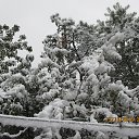 ���� ����, ������, 59 ��� - ��������� 15 ������� 2016 � ������ ������ ��������