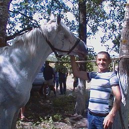 ����, �����, 63 ����