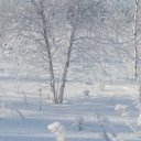 ���� ����, ������ - ��������� 14 ������� 2016 � ������ ��� ���Ż