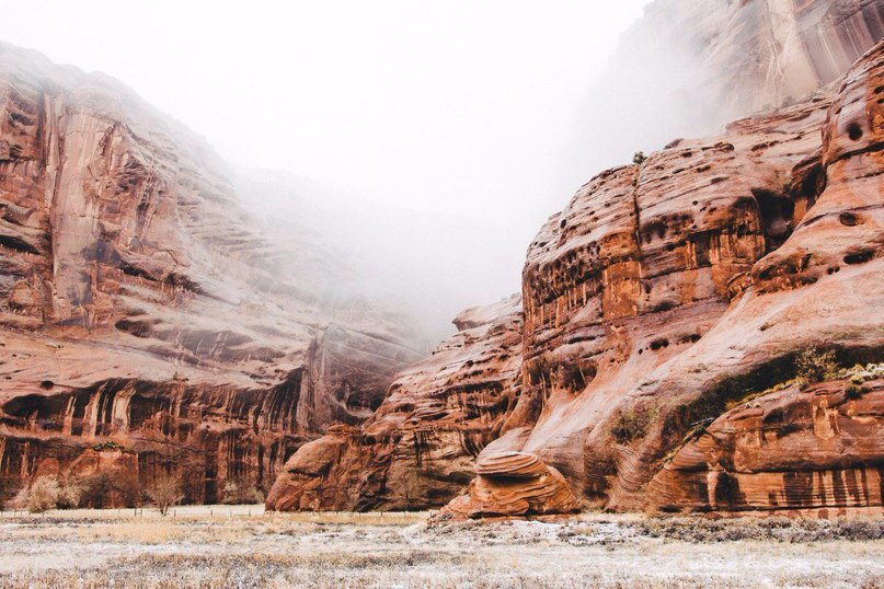 Arizona