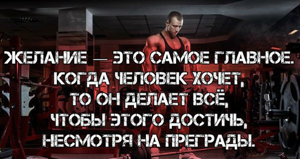 �� ������� �� �����! - 26 ������� 2017 � 13:02