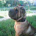  _A_n_g_e_l__,  -  29  2016    