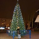  , --, 53  -  8  2017    