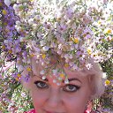 ���� ����, ��������������, 49 ��� - ��������� 14 �������� 2016 � ������ ���� ����������