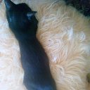 ��� �����) �� ������� ���� ����������