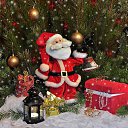 ���� ��������, ��������, 44 ���� - ��������� 2 ������ 2017