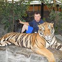 ���� ��������, ���������, 61 ��� - ��������� 22 ������� 2016 � ������ ���� ����������