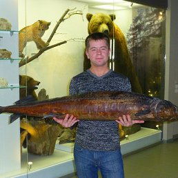 ���������, �����������, 38 ���