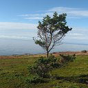 ���� ������, �����-���������, 67 ��� - ��������� 15 �������� 2016 � ������ ���������