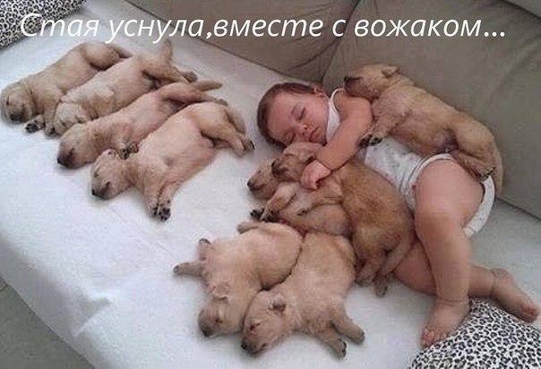 ������ - 20 ����� 2017 � 16:13