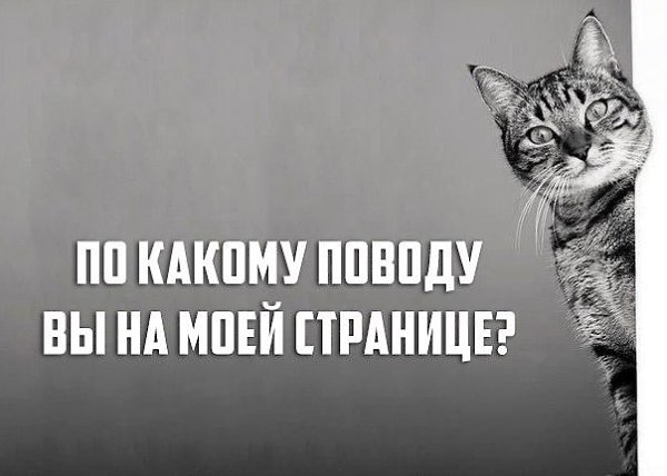 Часто задаваемые вопросы по работе в компоненте Меркурий — Справочная система Россельхознадзора