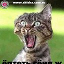 ���� ������, ������������, 55 ��� - ��������� 4 ����� 2017 � ������ ������ ��������