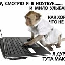 ���� �������, ������� - ��������� 24 ������� 2016 � ������ ������ ��������