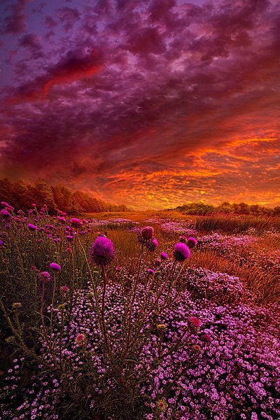    . Phil Koch - 3