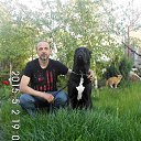 ���� ������, �������������� - ��������� 9 ������ 2017 � ������ ���� ����������