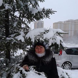 ���� ��������, ����������� - ��������� 13 ������ 2016