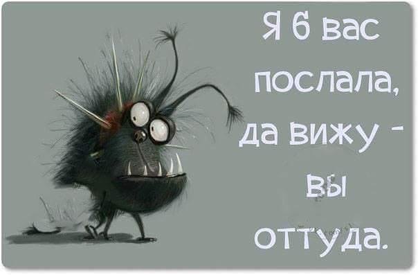    - 28  2016  15:48
