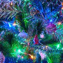 ���� ����������, ������� ��������, 63 ���� - ��������� 2 ������ 2017 � ������ ������� �������