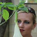 ���� �����, �������� - ��������� 26 ������� 2016 � ������ ���� ����������