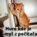 ���� Host, ����, 61 ��� - ��������� 28 ������� 2016 � ������ ������ ��������