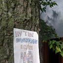 ���� ������, �����������, 65 ��� - ��������� 14 ������� 2016 � ������ ���� ����������